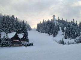 Enjoy the Silence Holiday Home，位于弗拉西克的酒店