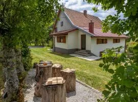 Gorgeous Home In Ravna Gora With Wifi