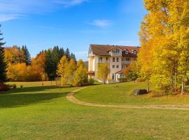 阿霍恩霍夫酒店，位于林德伯格的酒店