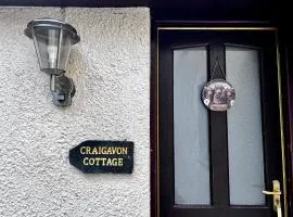 The Cottage at Craigavon House