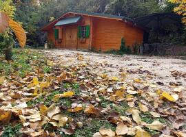 La R&acirc;u - Căsuța de poveste，位于肯普隆格的木屋