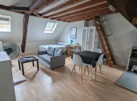 L'autunette au quartier historique d'Autun