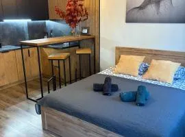 Apartament Kozigród