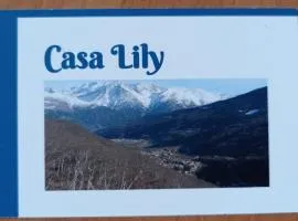 Casa Lily