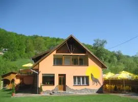 Pensiunea Colt Alb