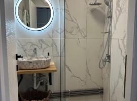 Victoria 1 Room Apartment- Self Check in 24h，位于雷希察的酒店