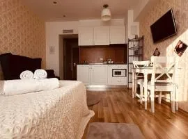 Charming Luxury RGR apartment