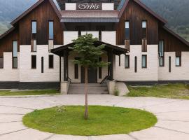 Irbis hotel，位于梅斯蒂亚的酒店