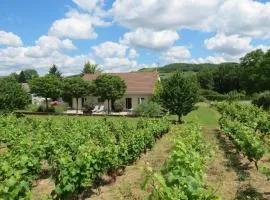 Les Vignes de Paris