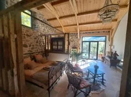 L'envol des papillons