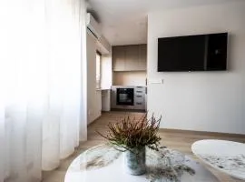 Vytauto 12 - jaukūs apartamentai centre - Self Check-in