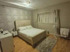 Quiet and professional friendly