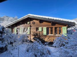 Gstaad Chalet，位于格施塔德的酒店