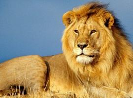 LOUVRE HOME，位于塞凡的酒店