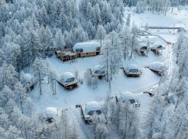 Alpin D'Hôme Hôtel & Spa，位于莱索尔的酒店