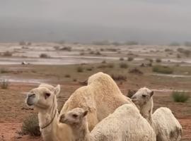 Desert Front camp，位于亚喀巴的酒店