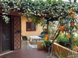 Simbamwenni Lodge and Camping