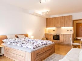 Apartmán IRIS Poděbrady 2，位于波杰布拉迪的酒店