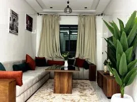 Bel Appartement moderne et propre proche de l aéroport