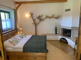 Dolina Rastoki，位于科尼亚库夫的山林小屋