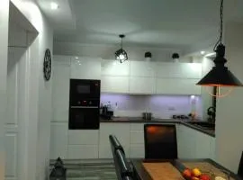 Bieszczady Apartament Gniazdo Baligród