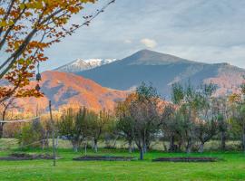 Casa-Dorina，位于Petrila的酒店