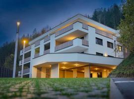 Apartment Lisa Hinterstoder，位于茵特斯托德的酒店
