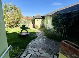 les chaussons d'arlequine