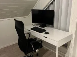 Lofoten - Spacious Room