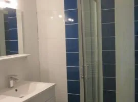 LIMOGES, joli appart !