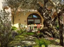 A casa di Jolanda guesthouse - near historic Venice center with private garden and 5 min drive to motorways A57 and A4