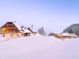 克拉维克酒店，位于戈雷尼斯卡地区采尔克列的酒店