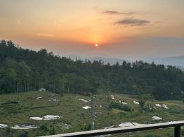 Green Garniya Hotel，位于贝里胡罗亚的酒店