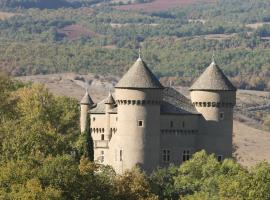 Chateau de Lugagnac，位于塔恩河畔里维耶尔的旅馆