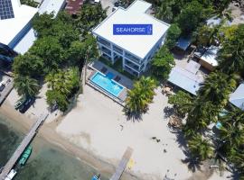 Seahorse Escape-apartment #2 condo，位于西区的分契式公寓