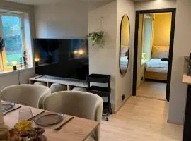 Notodden Luxe two-bedroom Apartment