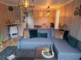 Veluwe Park Reewold-Chalet in Putten voor rust zoeker