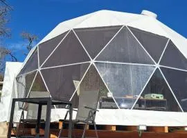 Domo en plena naturaleza