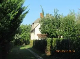 Holiday home in Csopak - Balaton 18315