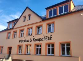 Pension U Koupaliště，位于蒂萨的酒店