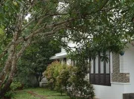 Willy's Home Stay