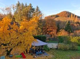 Studio 3 lits dans belle maison ancienne et jardin fermé