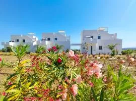 Saint Nicholas Houses