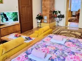 Apartment in a historical house in the center of Levoča