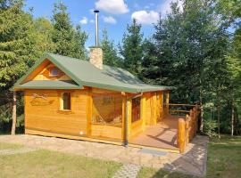 Agroturystka Cicha Strzała，位于Dubiecko的酒店