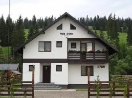 Vila Irina