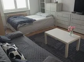 Flat Břeclav City Center