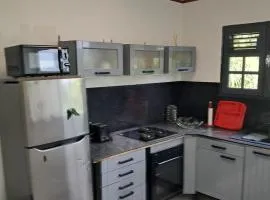 Villa aux 4 palmiers