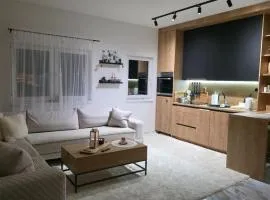 Apartman WOLF Vlašić