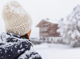 布劳纳尔公寓，位于莱赫阿尔贝格的酒店